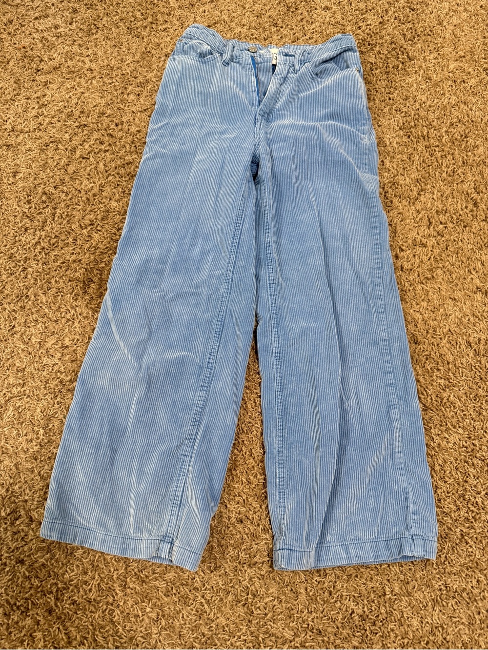 BDG Light Blue Wide-Leg Corduroy Jeans